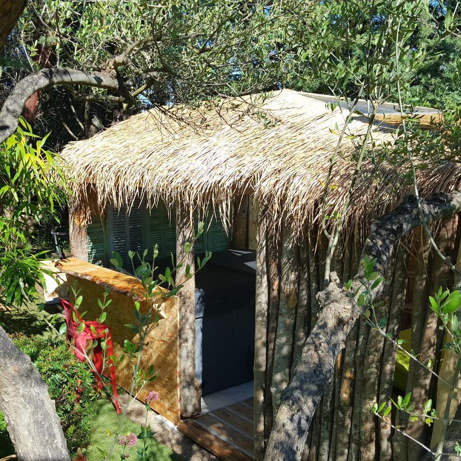 Logement De Charme Avec Piscine Et Jacuzzi Carnoules (Var) Exterior foto
