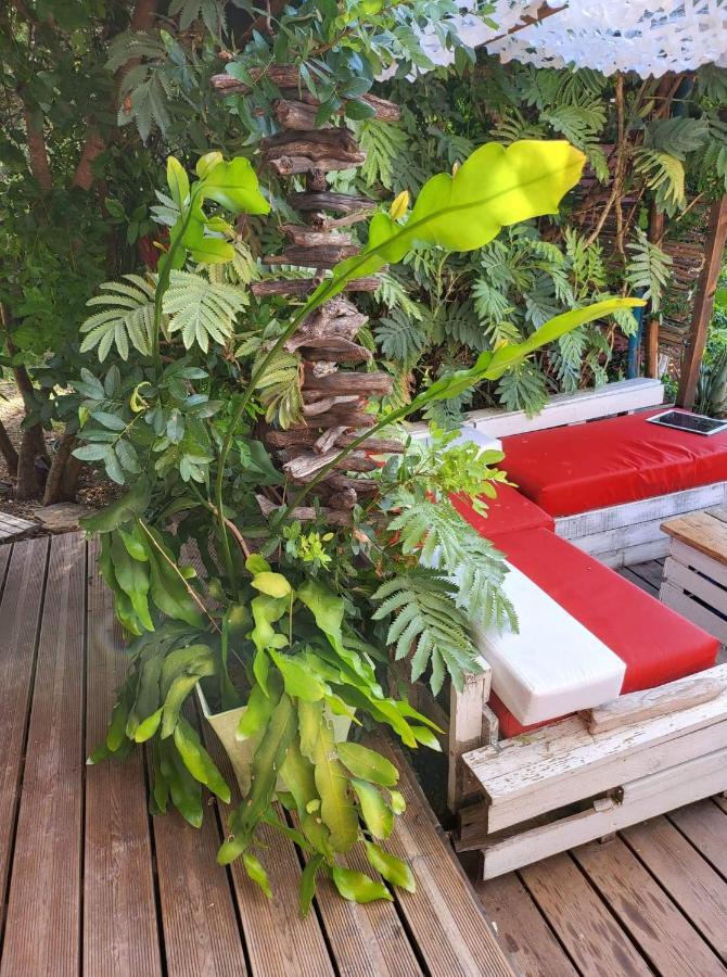 Logement De Charme Avec Piscine Et Jacuzzi Carnoules (Var) Exterior foto