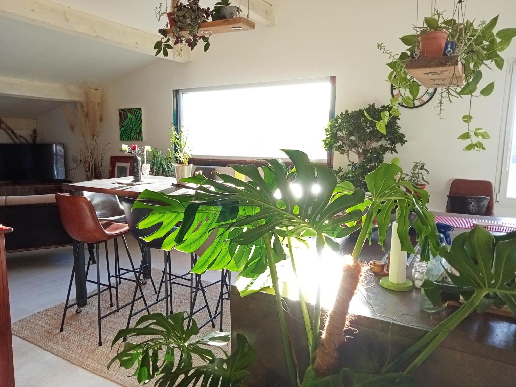 Logement De Charme Avec Piscine Et Jacuzzi Carnoules (Var) Exterior foto